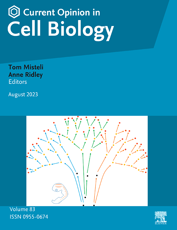 Go to journal home page - Current Opinion in Cell Biology